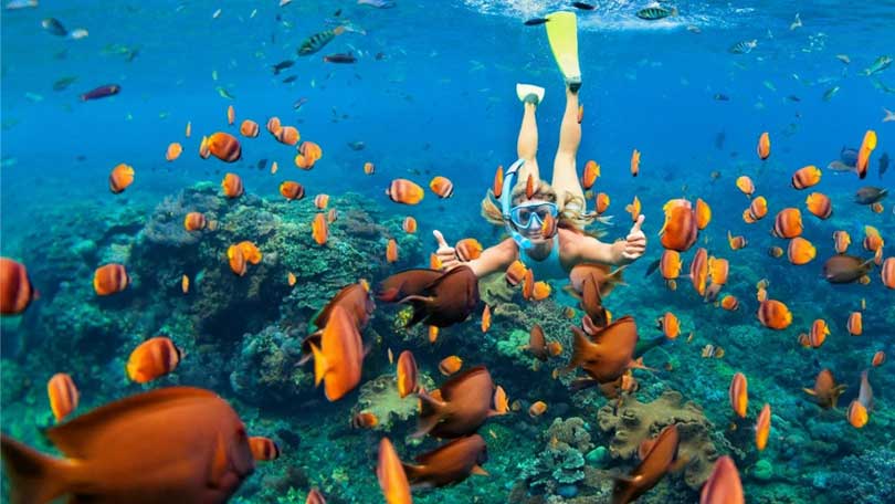 10 best experiences to have in Maldives